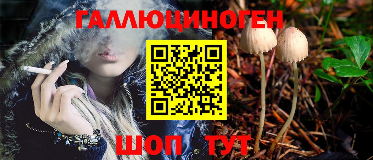 Сертолово  Псилоцибиновые грибы Magic Shrooms  Галлюциногенные грибы Psilocybine cubensis  Вход с VPN 